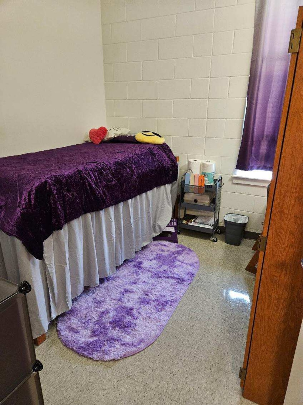 Plush Purple Velvet Comforter - Deep Purple Bedding